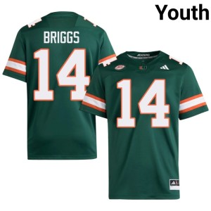 Green Israel Briggs Youth The U College Football Limited #14 Jerseys 889116-190